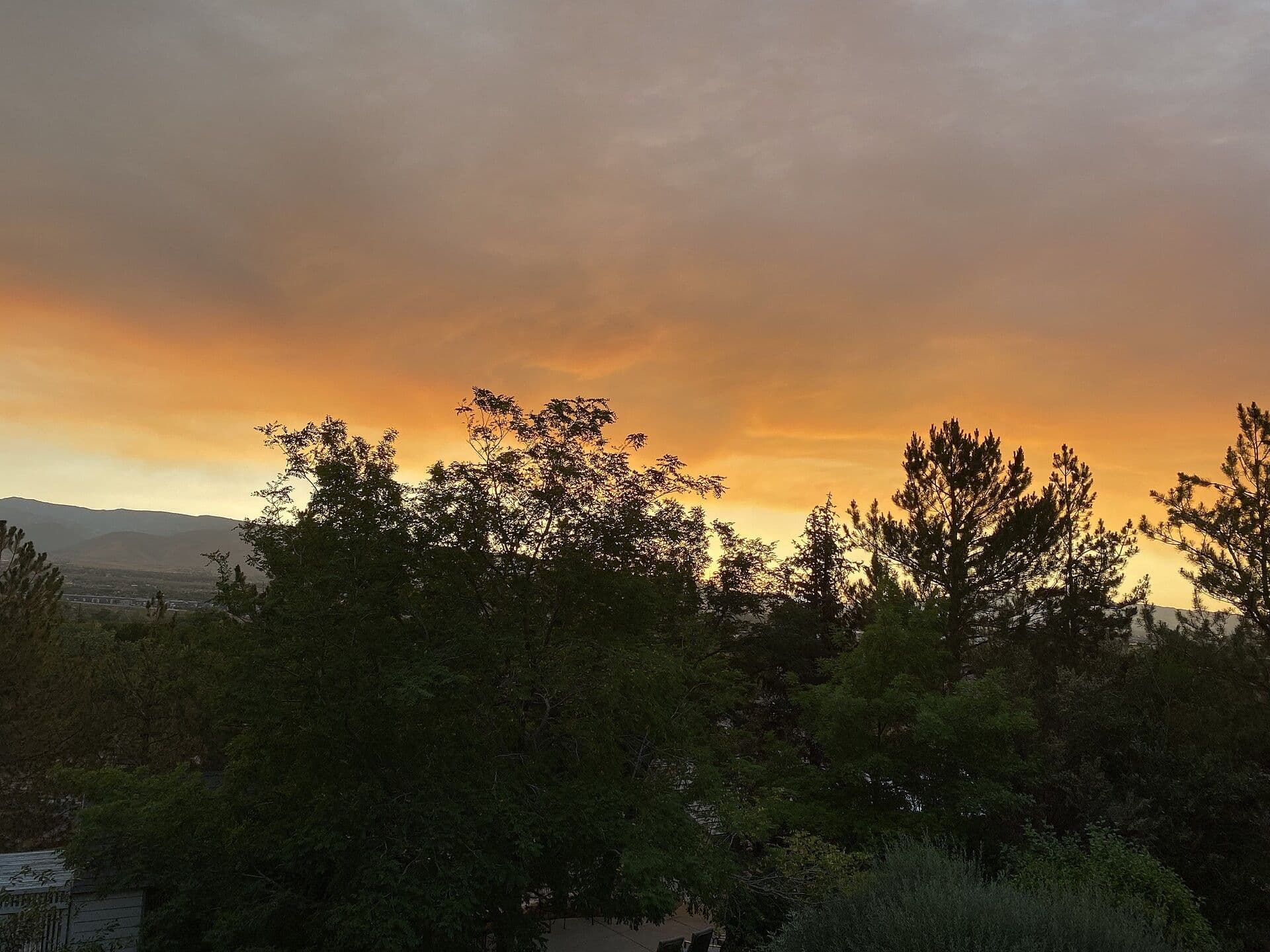 Wildfires, Heat and Food Insecurity Take Toll, UCLA California Health Survey Finds